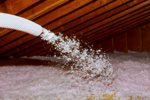Best Specialized Insulation Services in Boaz, WV